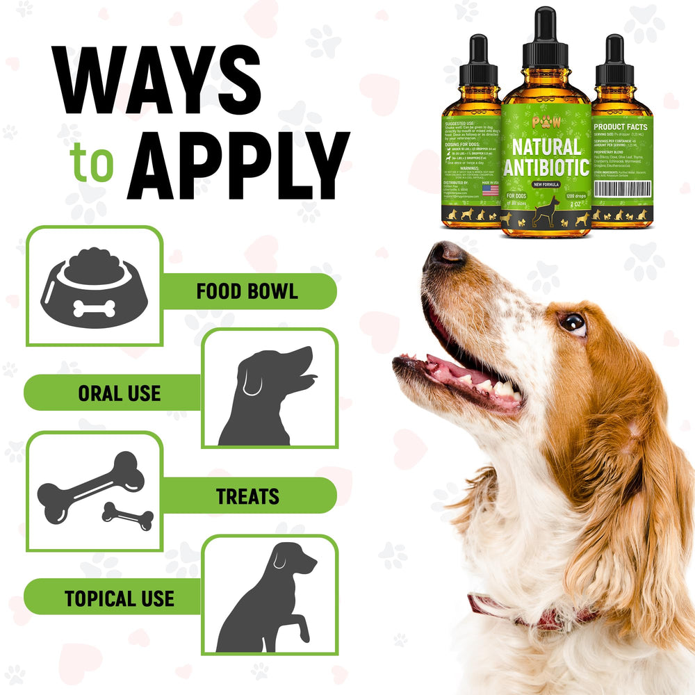 Golden Paw formula being mixed with dog food at mealtime.