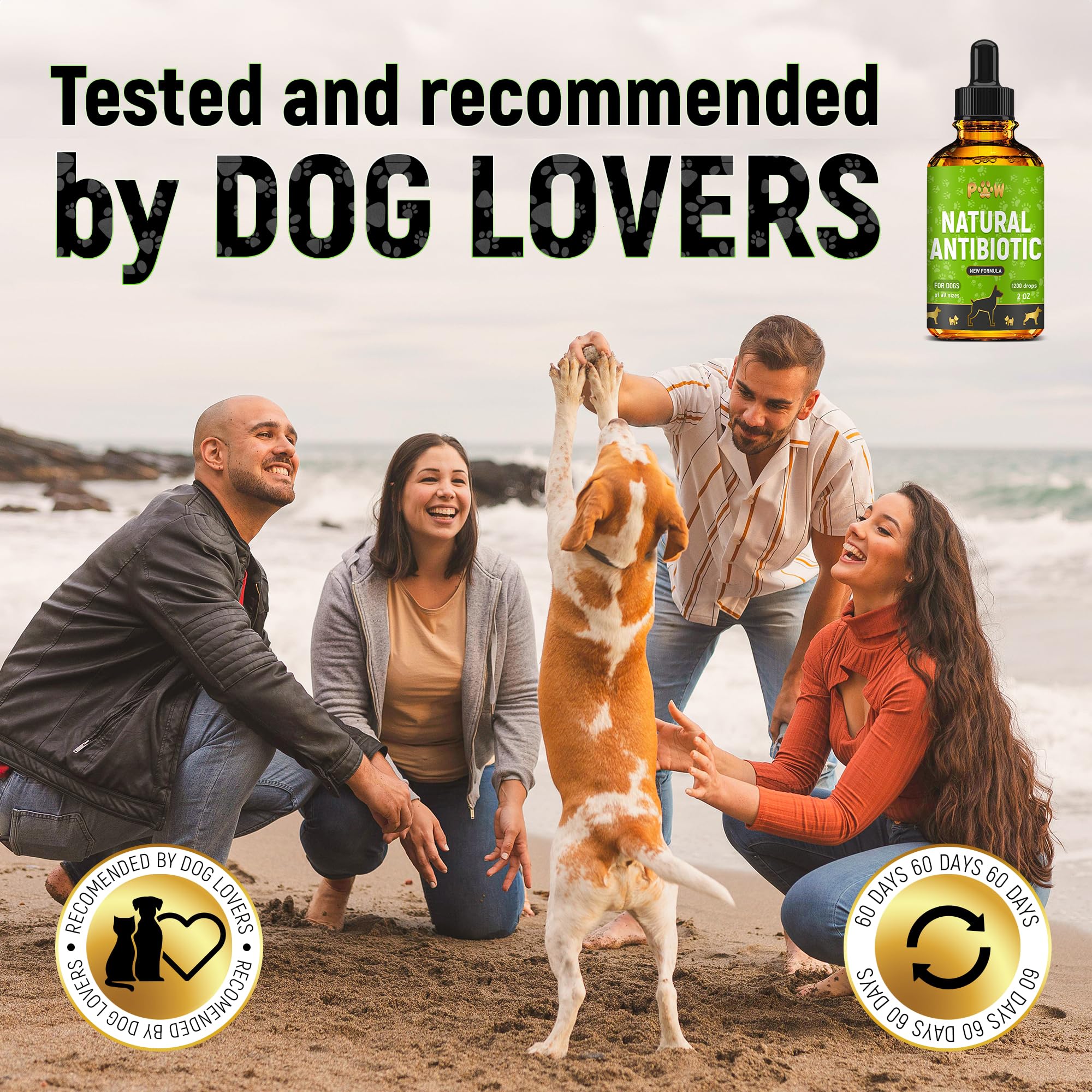 Golden Paw dog looks relaxed after a dose.