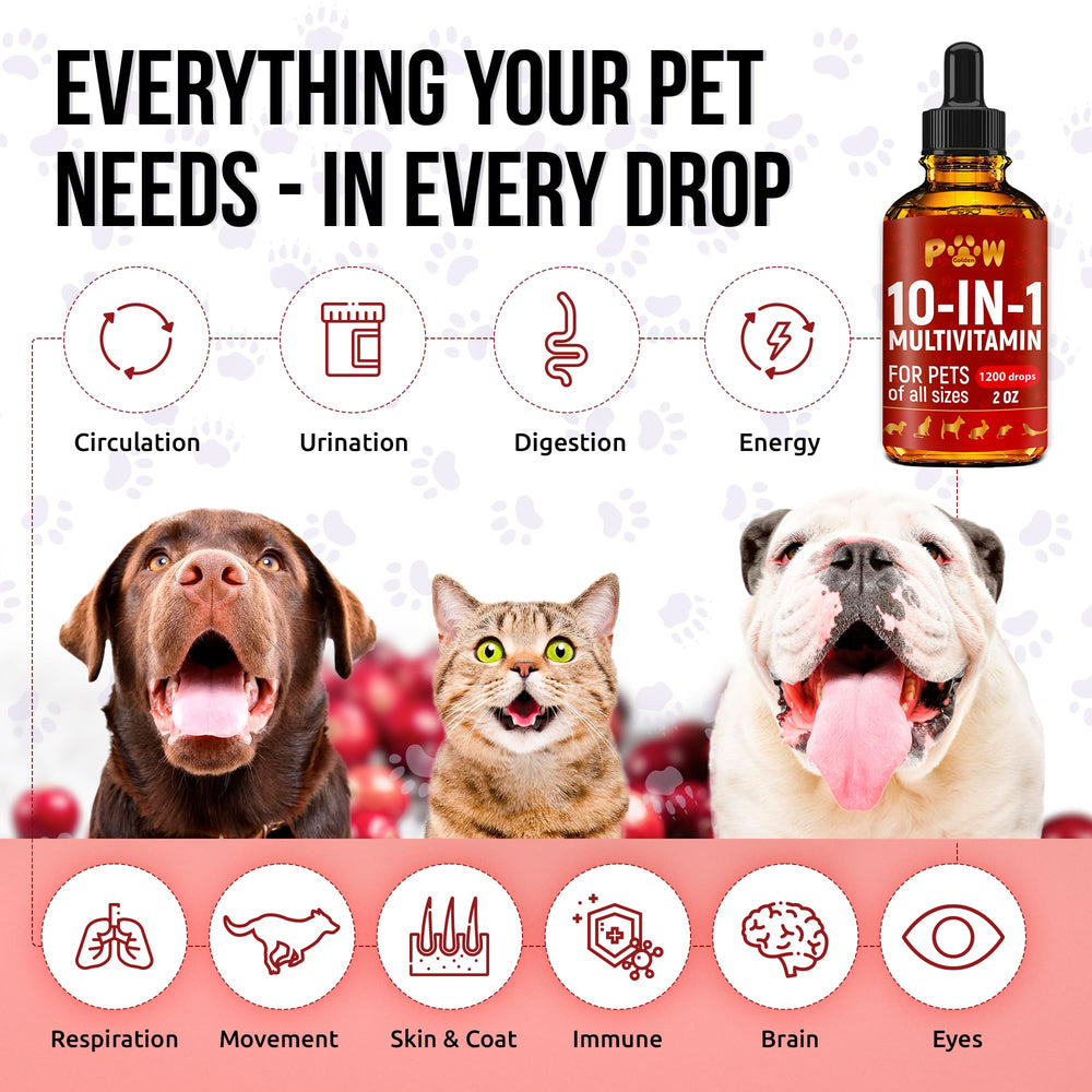 Golden Paw label close-up highlighting 10-in-1 ingredients for overall support