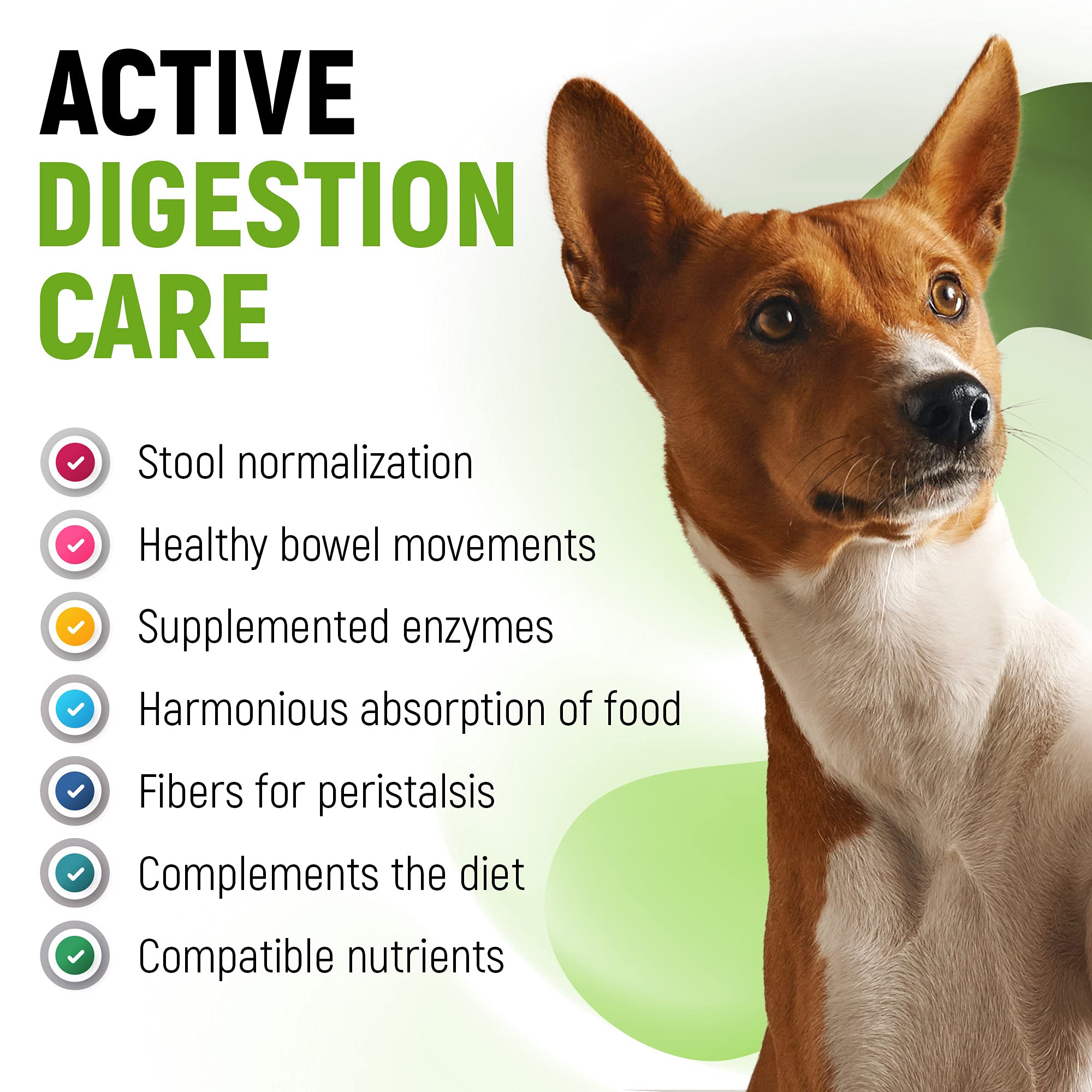 Golden Paw liquid probiotics dog-cat administration shows easy dosing with a dropper