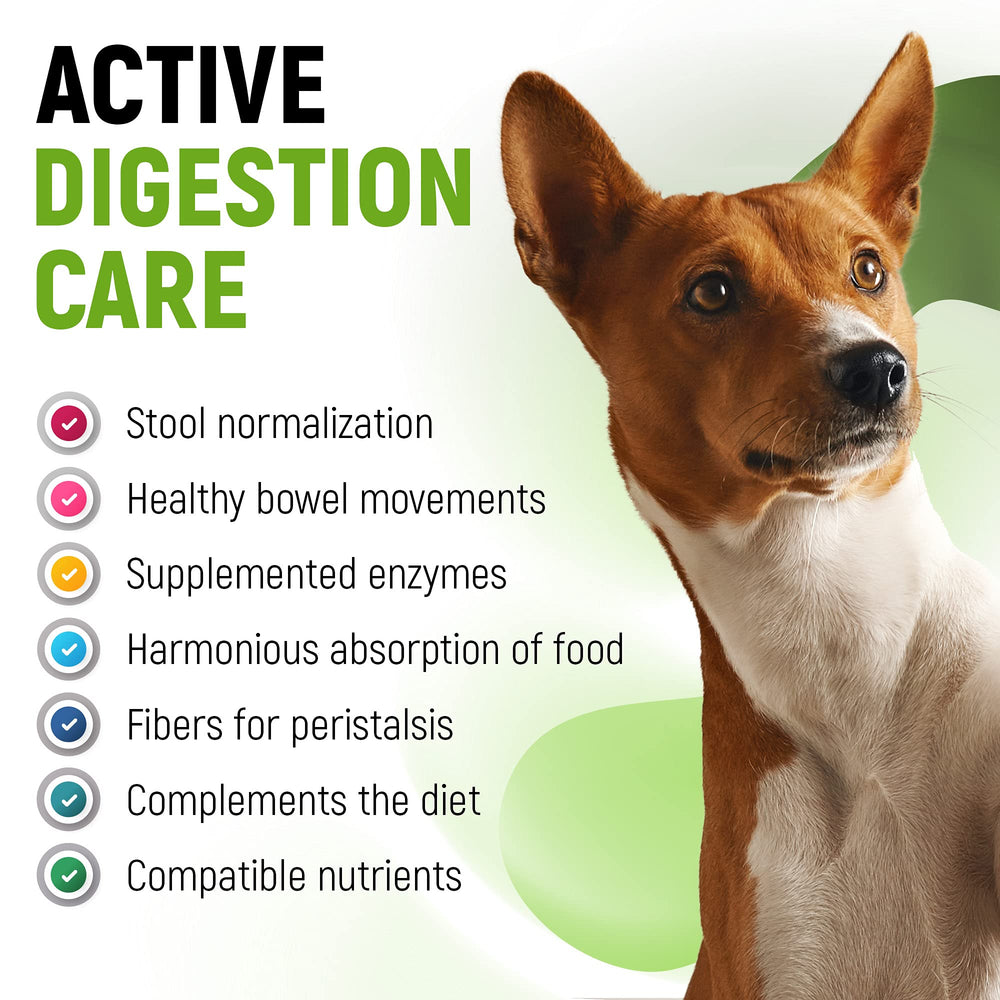 Golden Paw liquid probiotics dog-cat administration shows easy dosing with a dropper