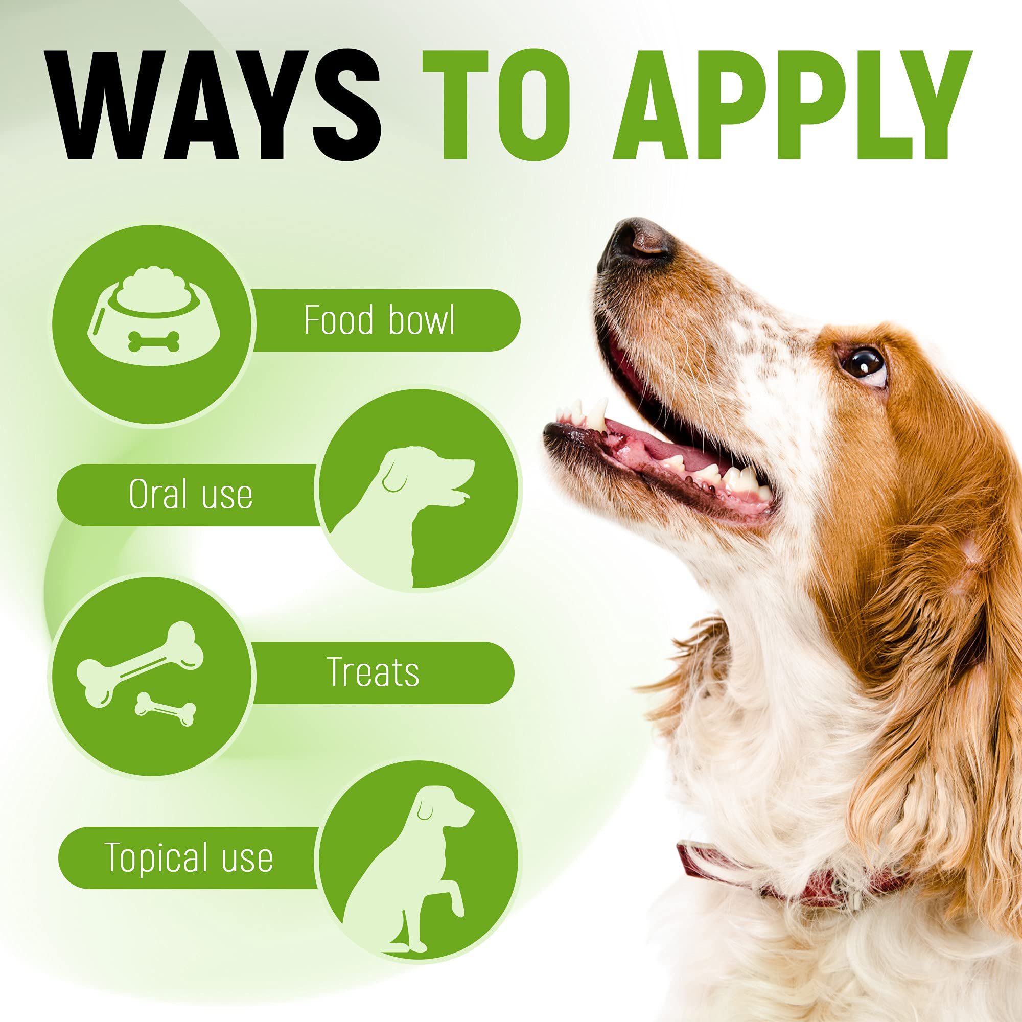 Golden Paw probiotic flavor with herbal notes enhances pet acceptance during dosing