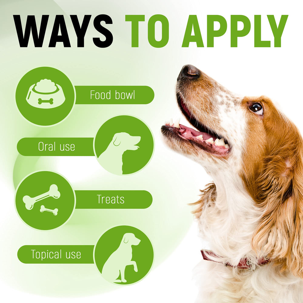 Golden Paw probiotic flavor with herbal notes enhances pet acceptance during dosing