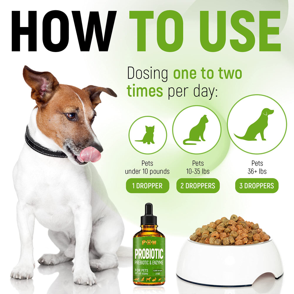 Golden Paw probiotic bottle close-up emphasizes a safe tested formula