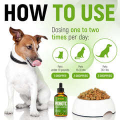 Golden Paw probiotic bottle close-up emphasizes a safe tested formula