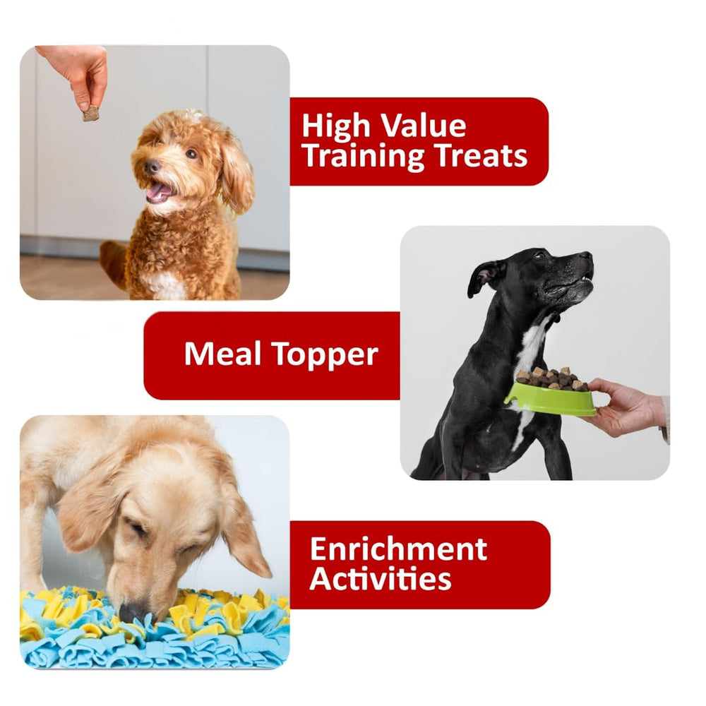 Golden Pup Enrichment single-ingredient label emphasizes human-grade quality