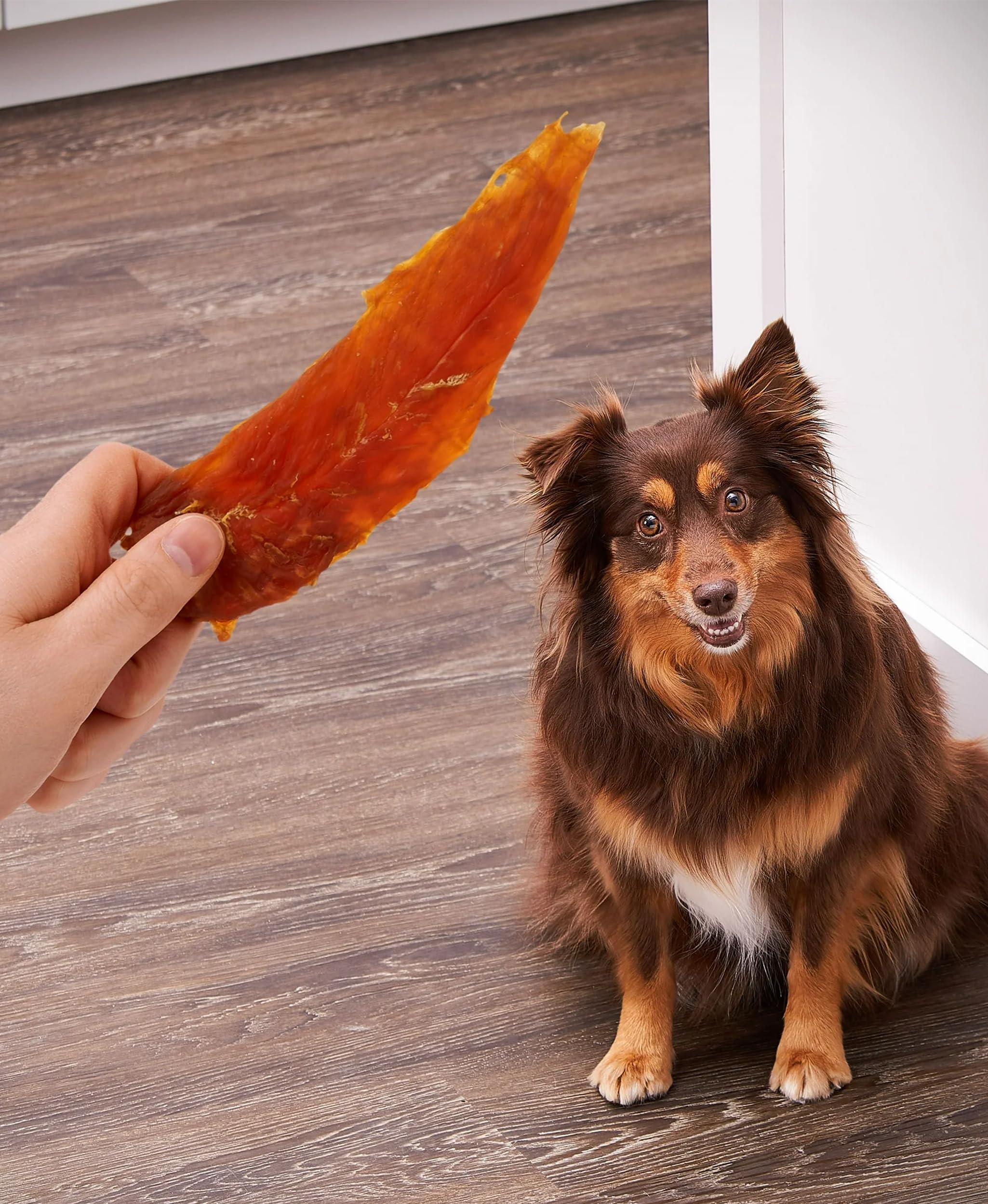 Golden|Rewards low-fat, high-protein option supports a balanced snack routine.