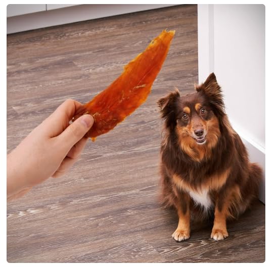 Golden Rewards training-reward setup demonstrates versatile treats for positive behavior.