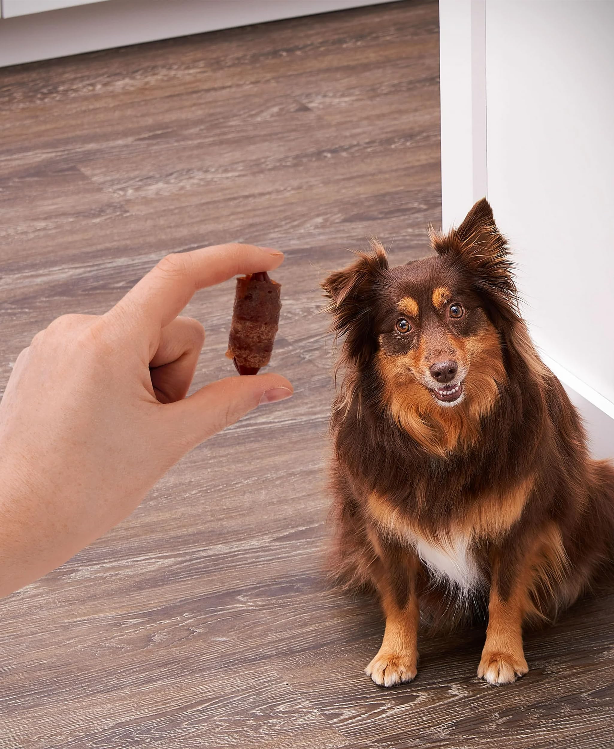 Golden Rewards pigs-in-a-blanket air-dried texture highlights chewy, tasty dog treats.
