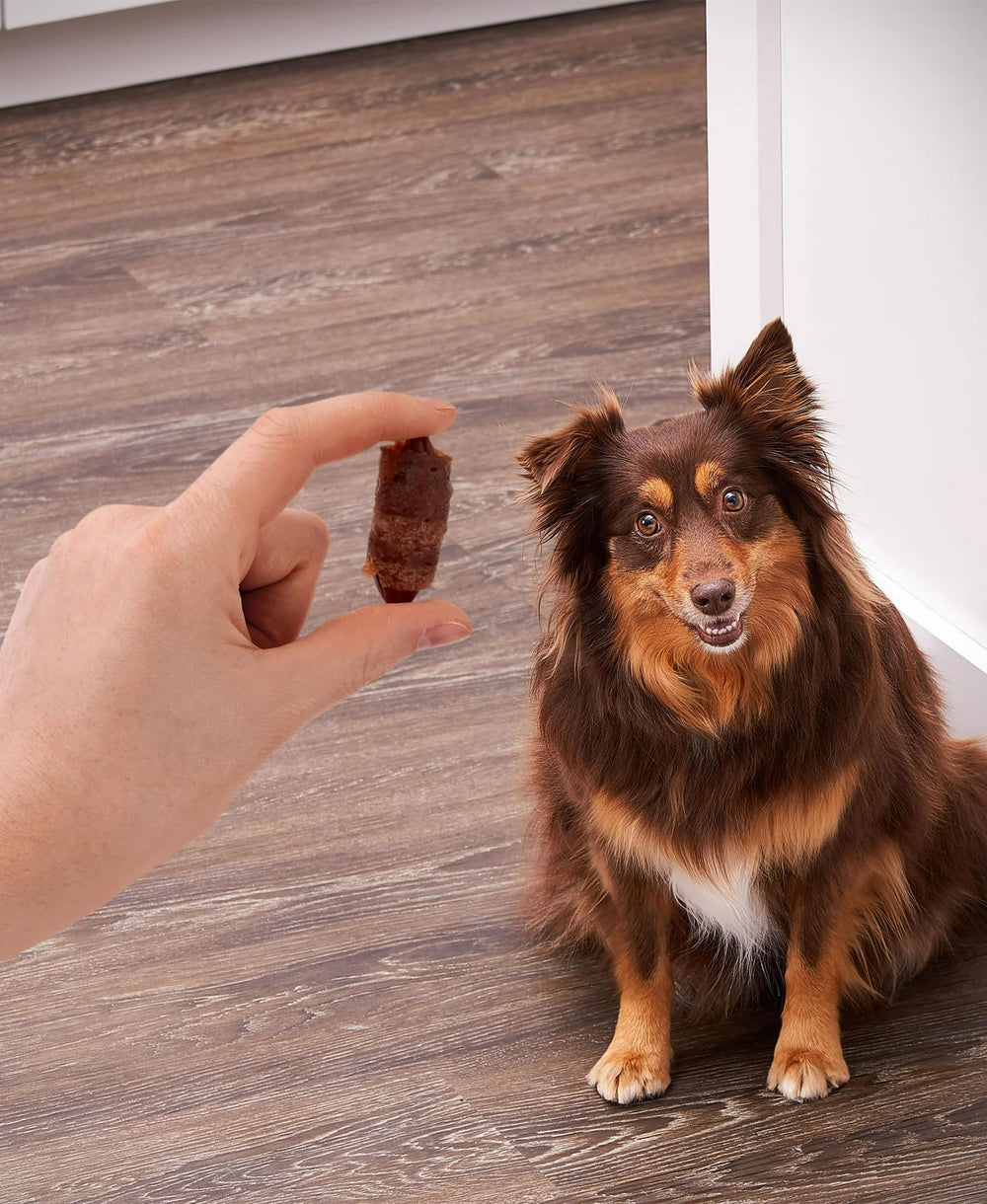 Golden Rewards pigs-in-a-blanket air-dried texture highlights chewy, tasty dog treats.