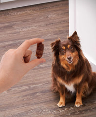 Golden Rewards pigs-in-a-blanket air-dried texture highlights chewy, tasty dog treats.