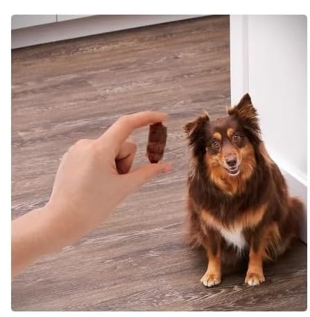 Golden Rewards pigs in a blanket served dog – tasty, protein-rich reward