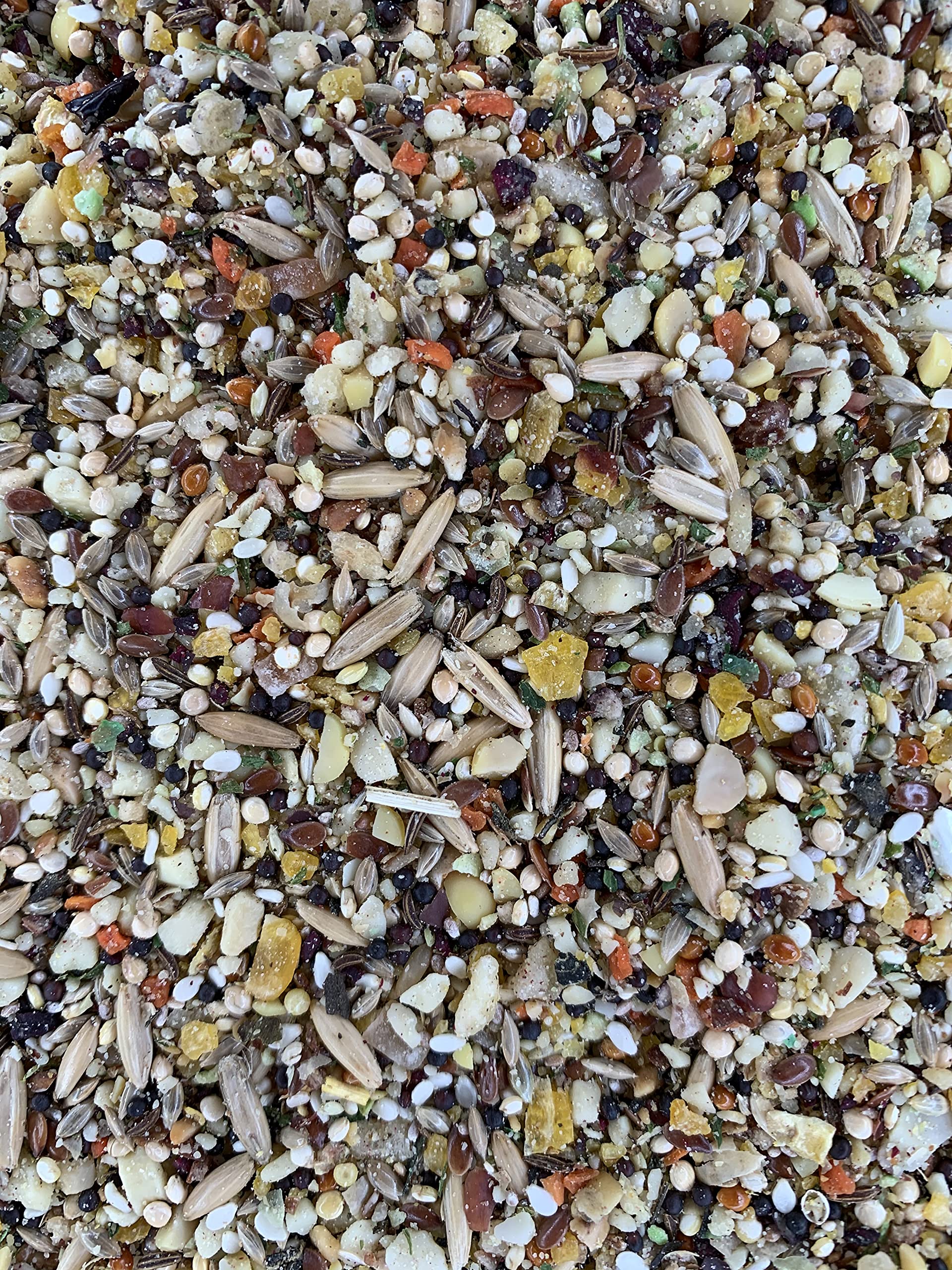 Goldenfeast VL Patagonian Blend serving bowl displays ready-to-serve mix for small to mid-size birds.