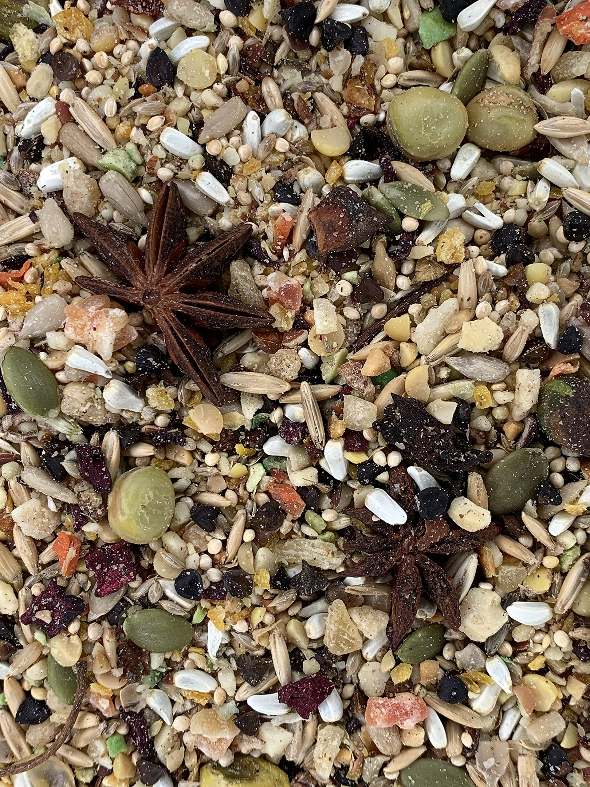 Goldenfeast VL South American Blend ingredients closeup highlighting diverse grains and seeds for enrichment.
