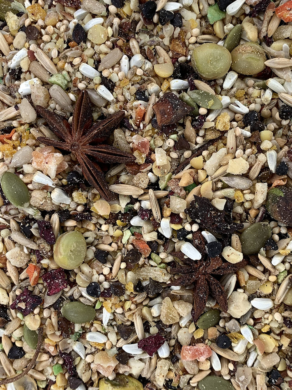 Goldenfeast VL South American Blend ingredients closeup highlighting diverse grains and seeds for enrichment.