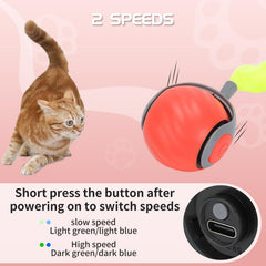 GoldSuccess Speedy Tail compact design fits indoors and during travel for versatile use.