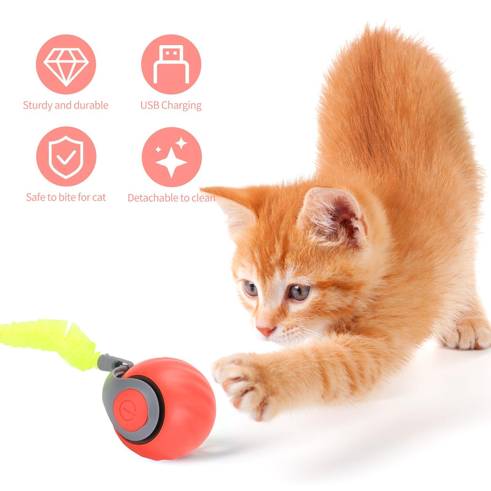 GoldSuccess Speedy Tail ergonomic grip offers comfortable control during play sessions.
