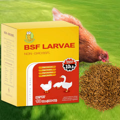 GoldWORMS 10lb BSFL bag shows convenient poultry feed for healthier eggs and feathers.