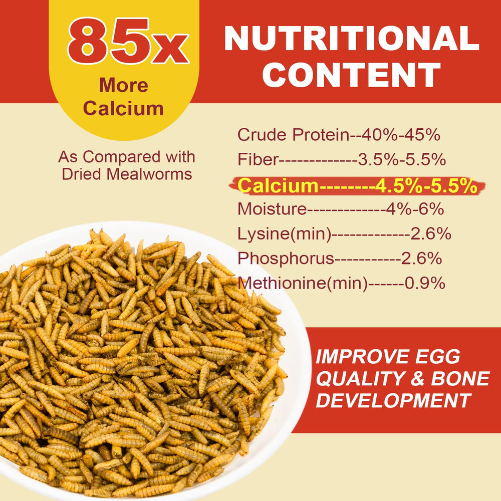 GoldWORMS BSFL dried pieces closeup highlights protein-rich larvae snack.