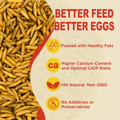 GoldWORMS feeding chickens scenario shows scatterable treat foraging.