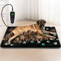 GOLOPET heating pad 47x30 on floor provides spacious warmth for large dogs