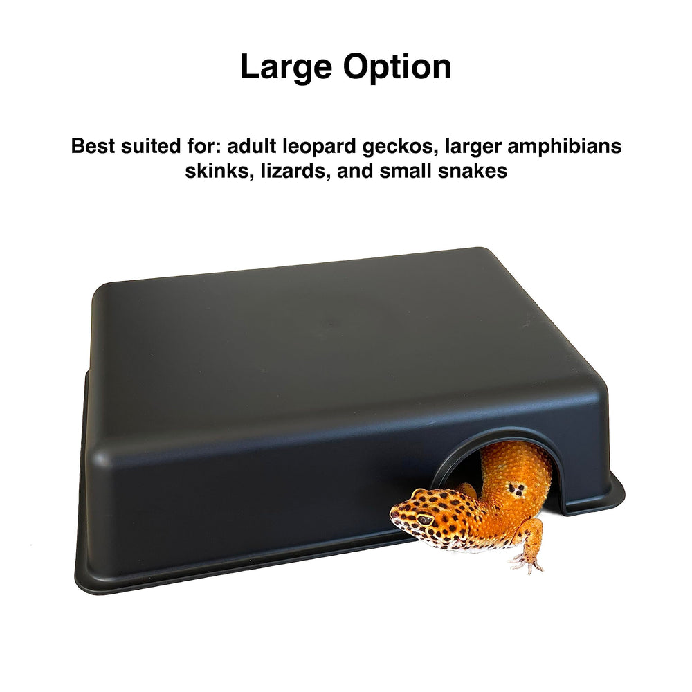 Gondola Geckos reptile hide box small edges shows smooth, safe perimeter for handling.
