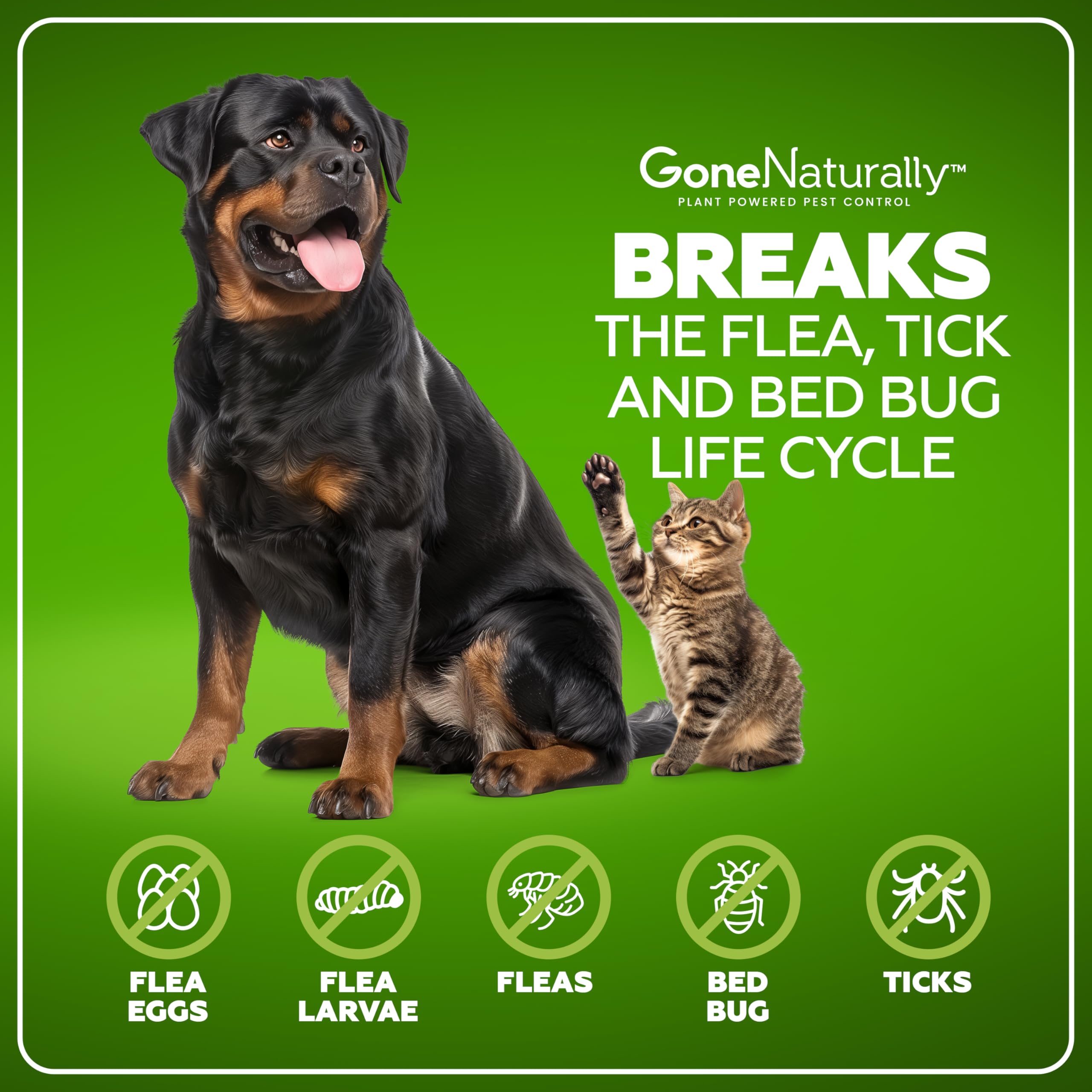 GoneNaturally scent-free flea spray on fabrics for upholstery safety.