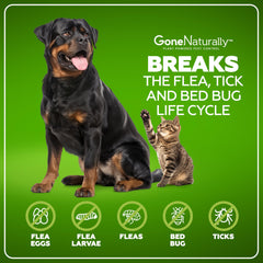 GoneNaturally scent-free flea spray on fabrics for upholstery safety.