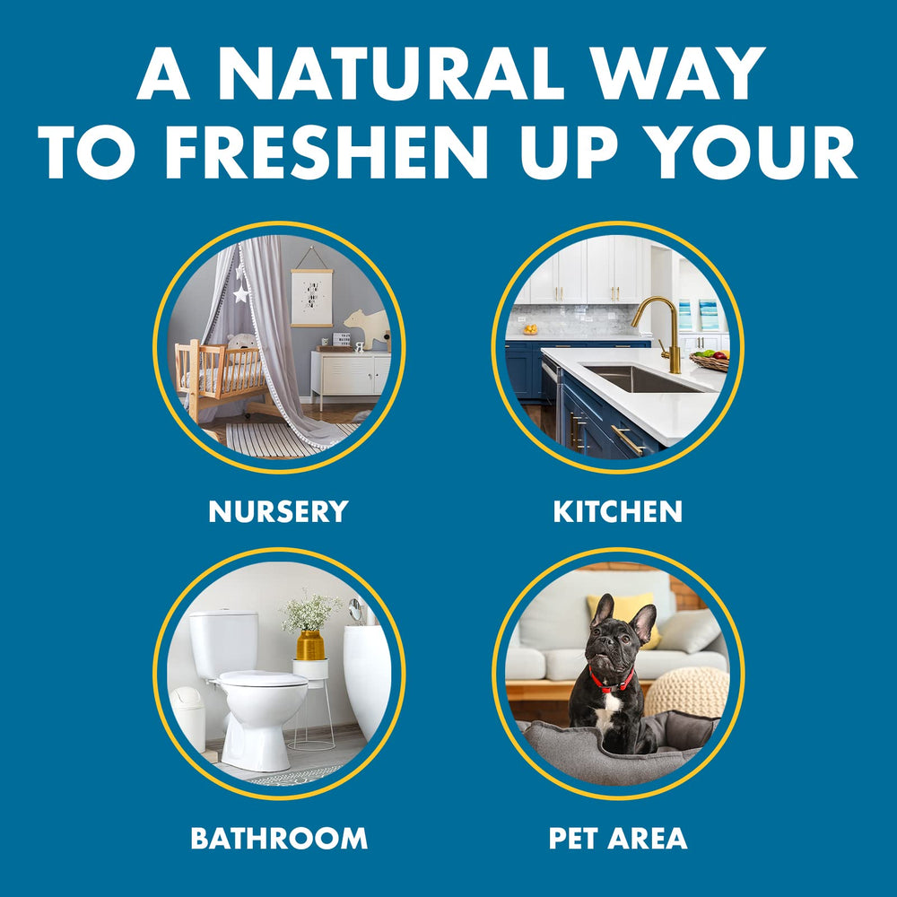 Gonzo Natural Magic Odor Air-Magnet for cabins and RVs tackles musty odors.