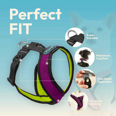Gooby Comfort X Dual Snap Mesh Harness Violet chest-design aids easy on-off for small breeds