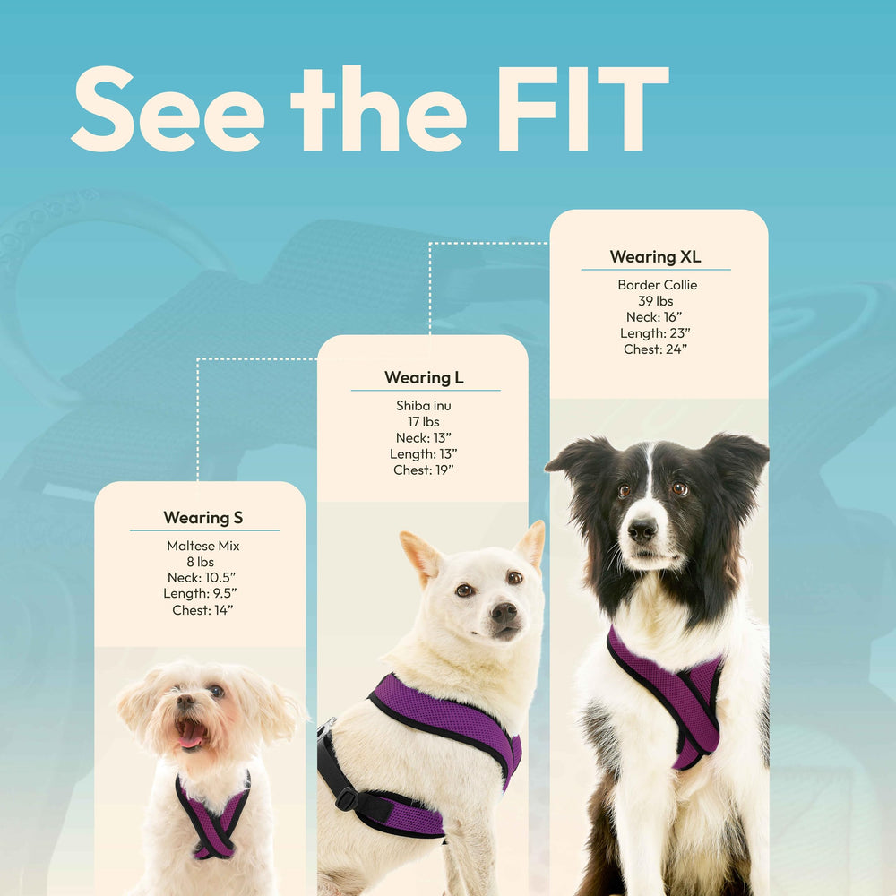 Gooby Comfort X Dual Snap Mesh Harness Violet breathable mesh keeps dogs cool on warm days