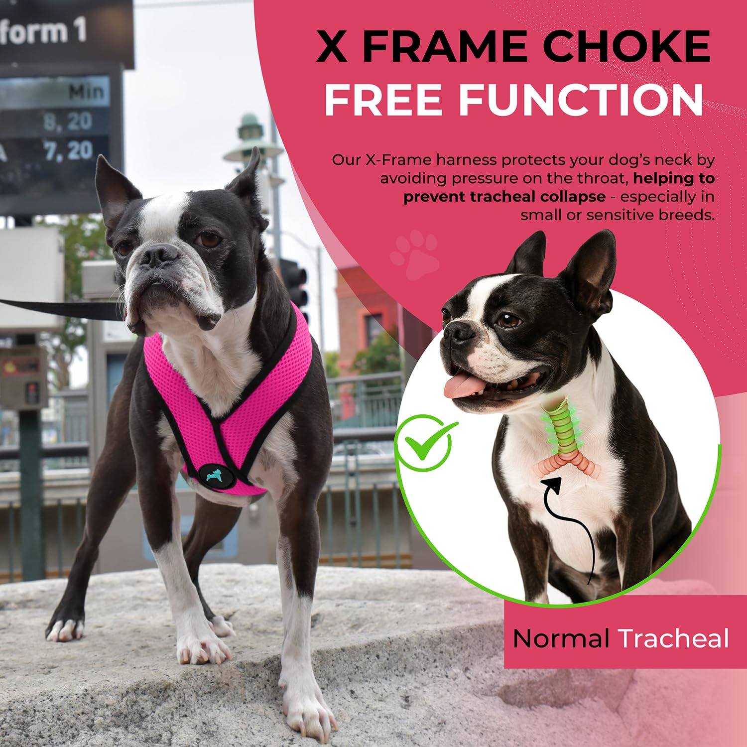 Gooby Comfort X Flamingo Pink sturdy metal D-ring for secure leash attachment.