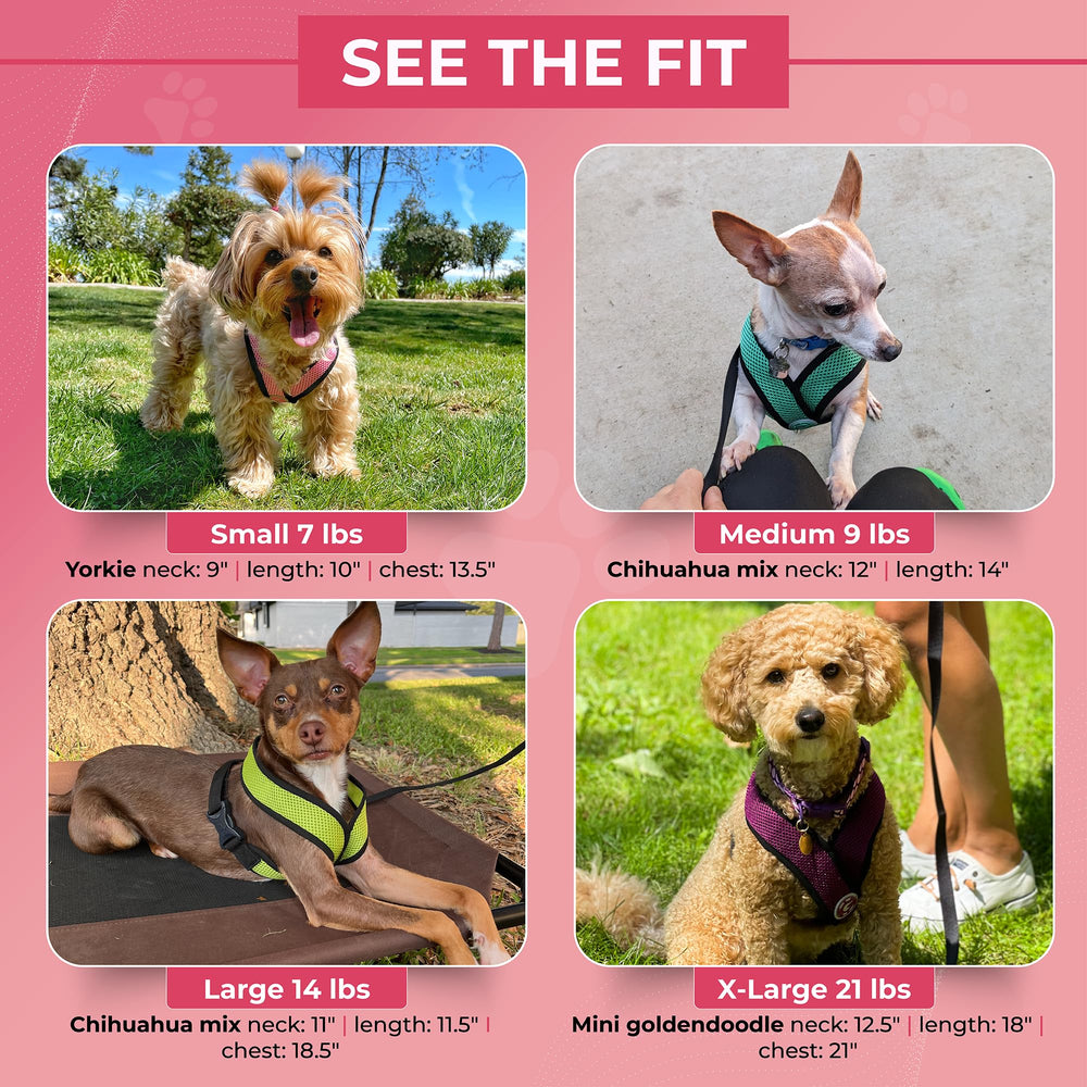Gooby Comfort X Flamingo Pink lightweight mesh keeps dogs cool on outings.