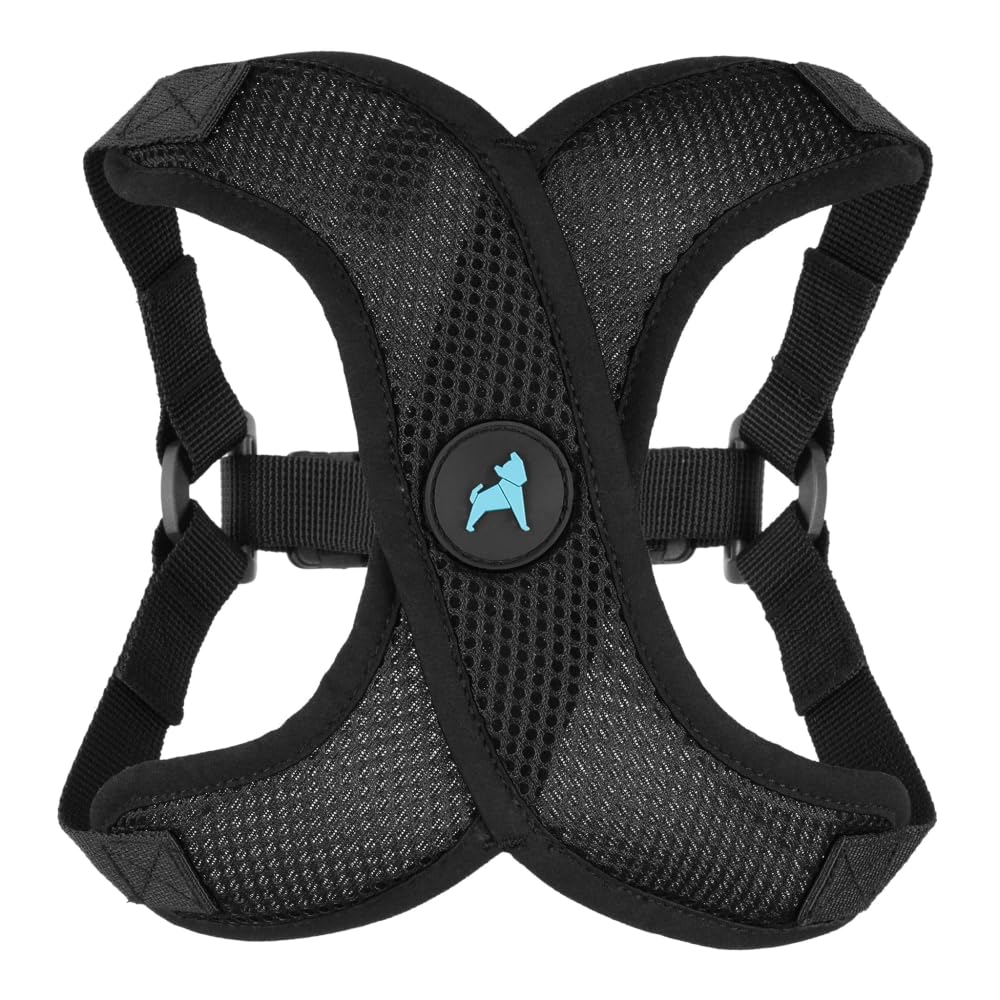 Gooby Comfort X Step-In Lite Harness shows choke-free design for safe daily walks.