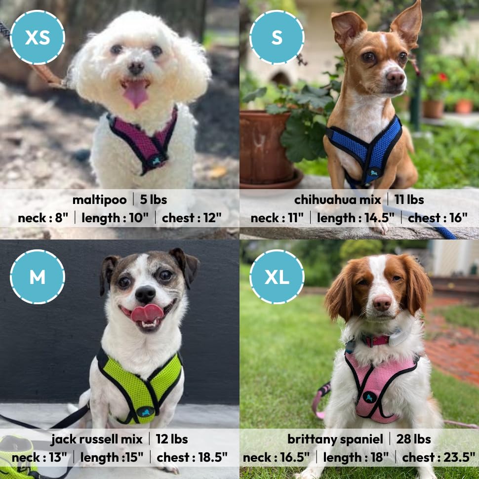Gooby Comfort X Step-In Lite Harness with quick-release buckle for easy on/off.