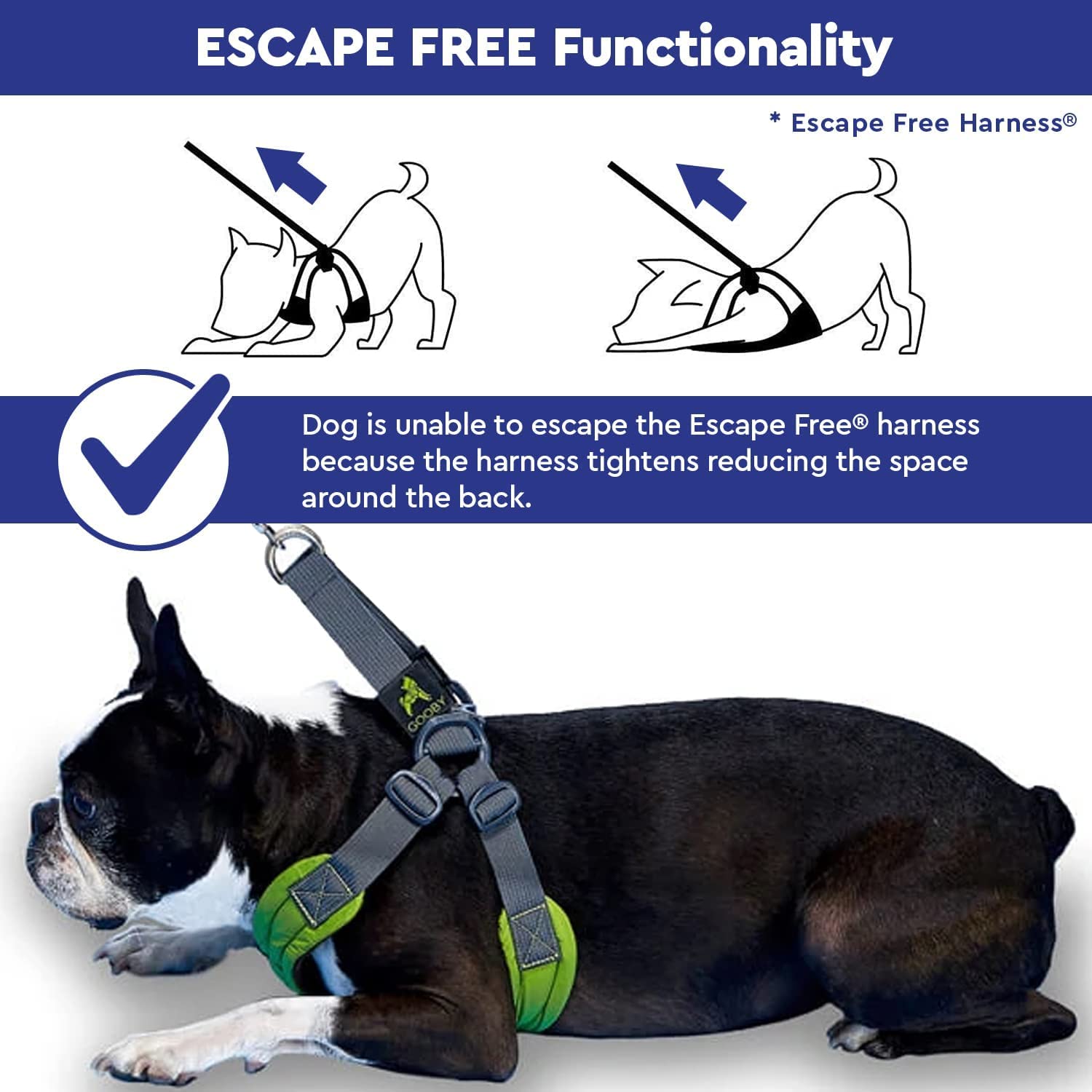 Gooby Escape Free Easy Fit Harness blue small measuring guide visual