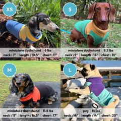 Gooby fleece vest two-tone green on dog during walk, demonstrating easy pull-on design.