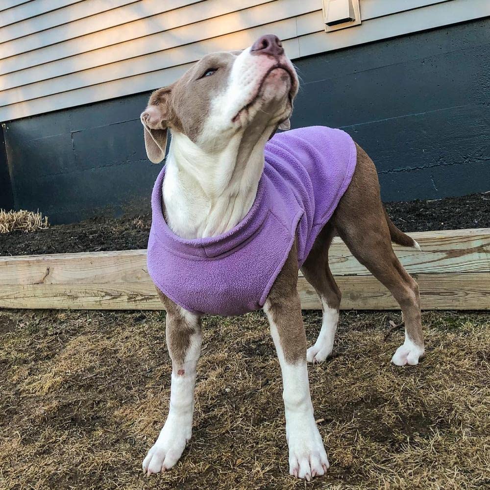 Gooby Stretch Fleece Vest easy-on-off image highlights quick dressing for active pets.