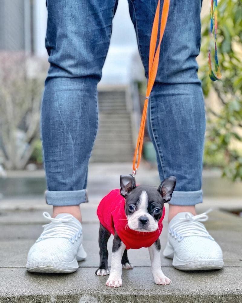 Gooby Stretch Fleece Vest size chart illustrates easy-fit sizing.