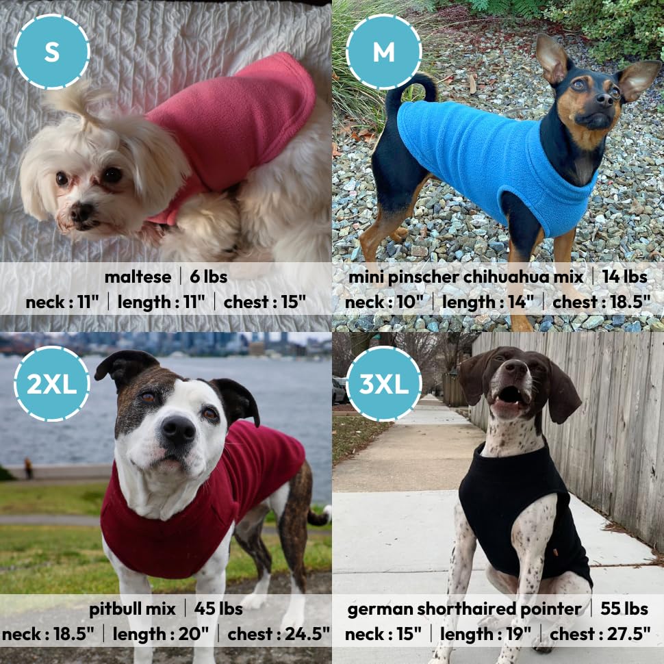 Gooby Stretch Fleece Vest provides warmth during chilly dog walks