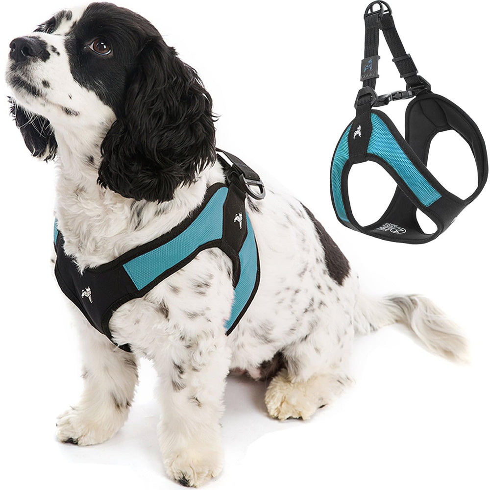 Gooby turquoise x-small easy fit harness closeup showing secure fit
