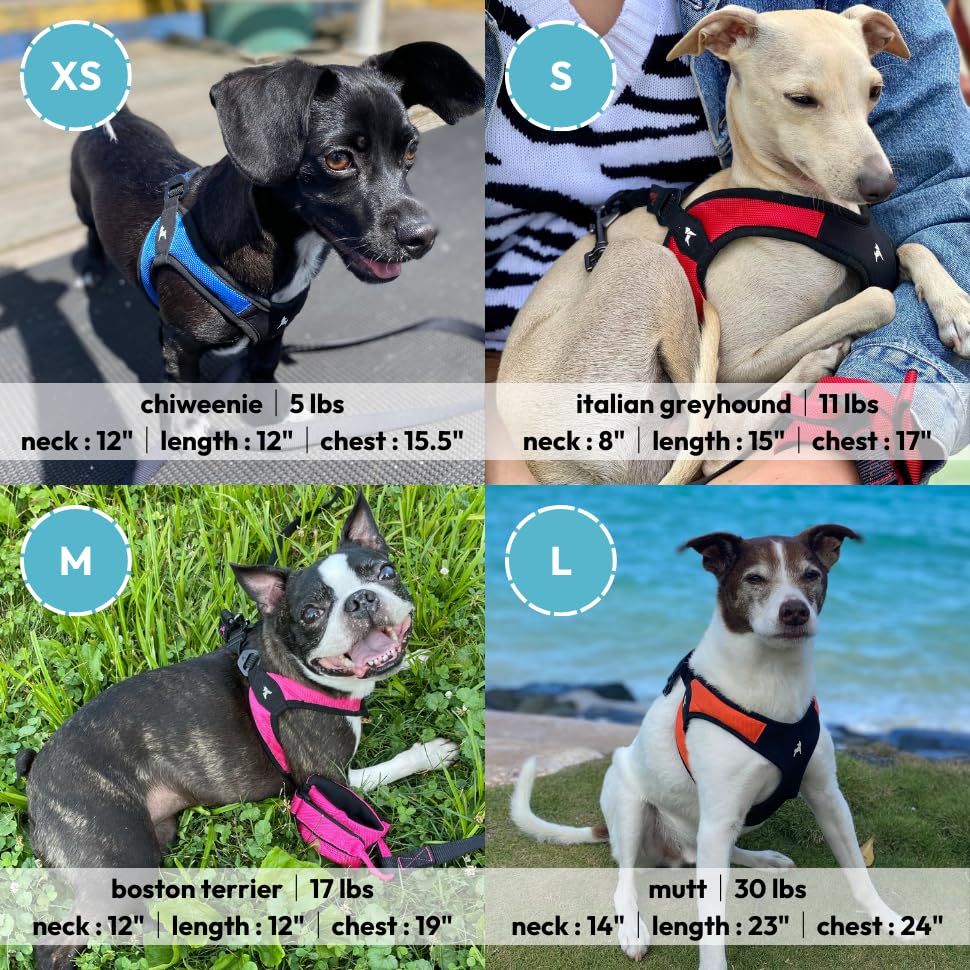Gooby turquoise x-small easy fit harness being machine washed for easy care
