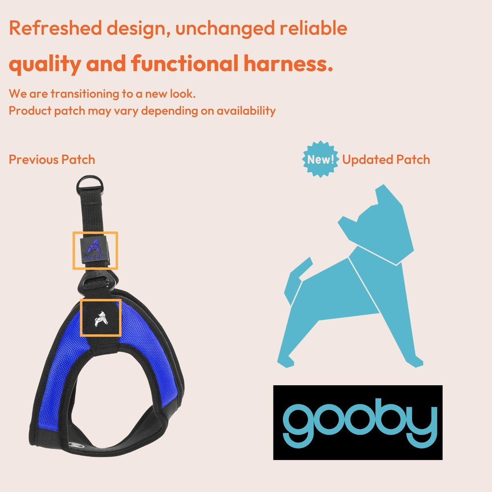 Gooby turquoise x-small easy fit harness no-pull feature in action