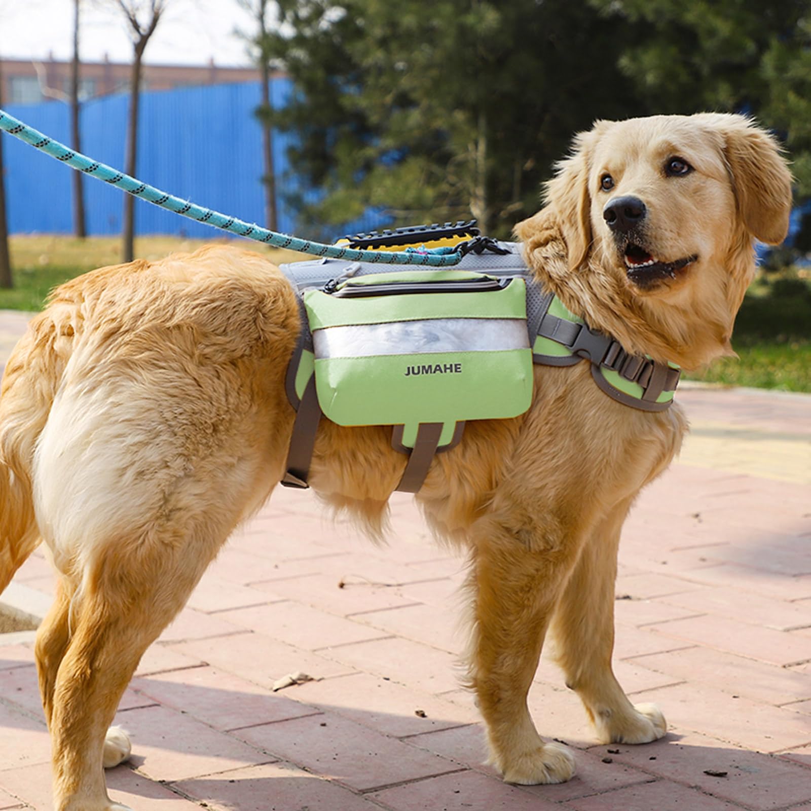 GooCare x Jumahe two-saddle-bag setup keeps gear organized on hikes.