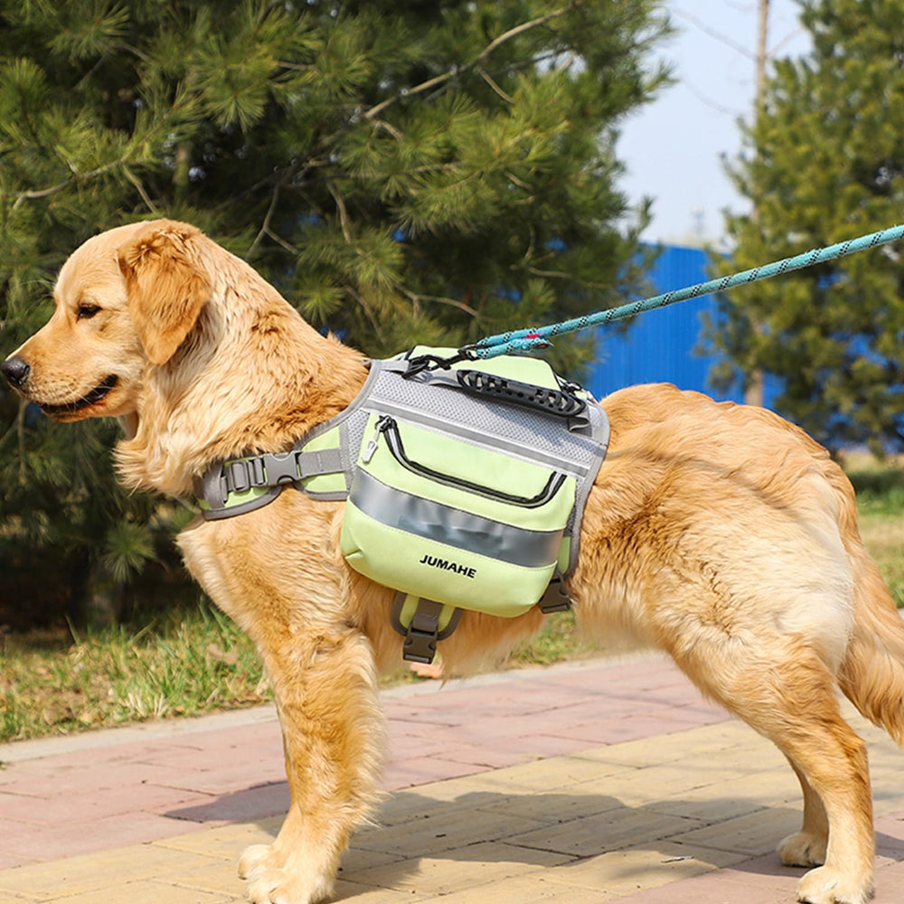 GooCare x Jumahe large-dog-friendly design accommodates 55-100 lb breeds.