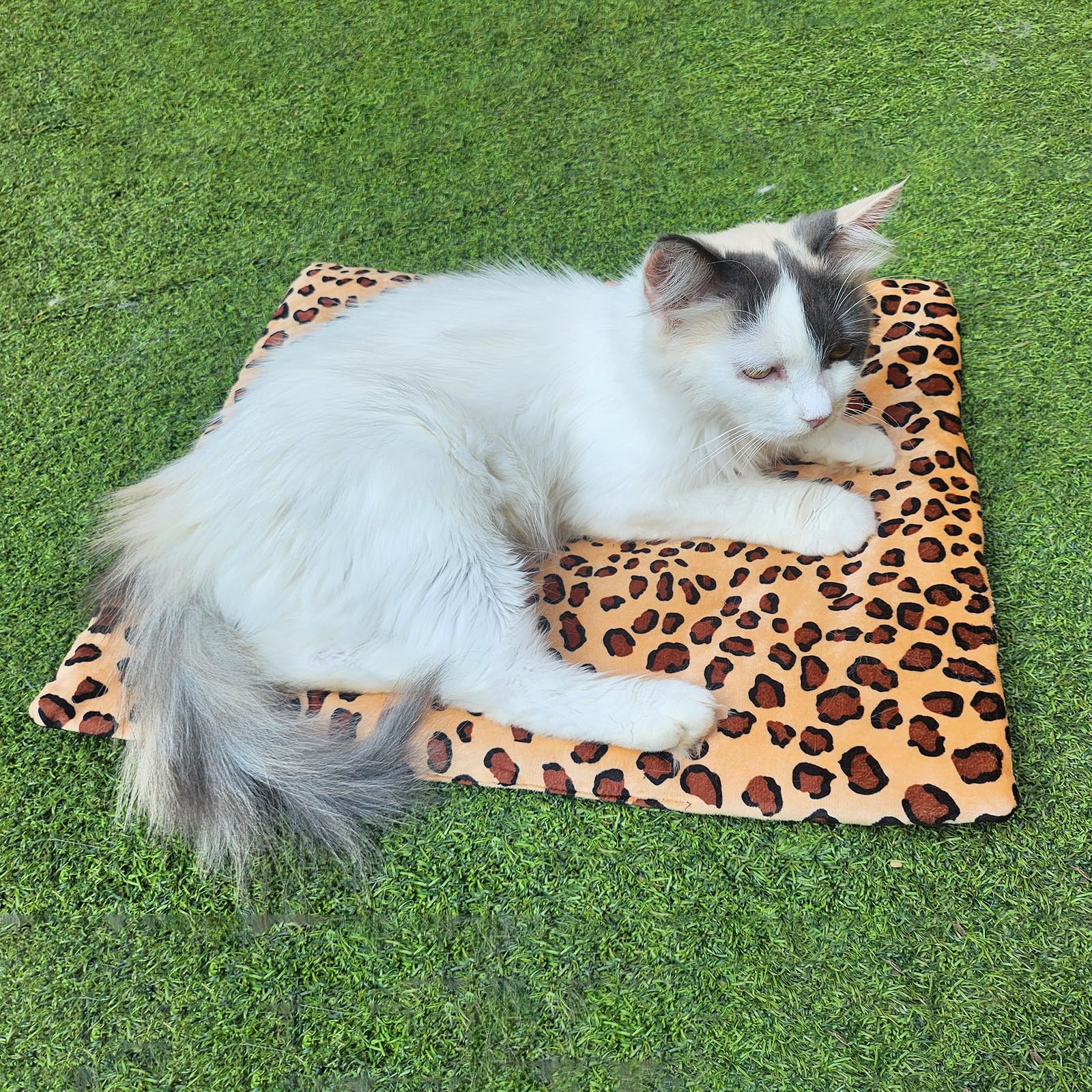 GooCare leopard-wide-use shot conveys versatile warmth from car travel to home lounging