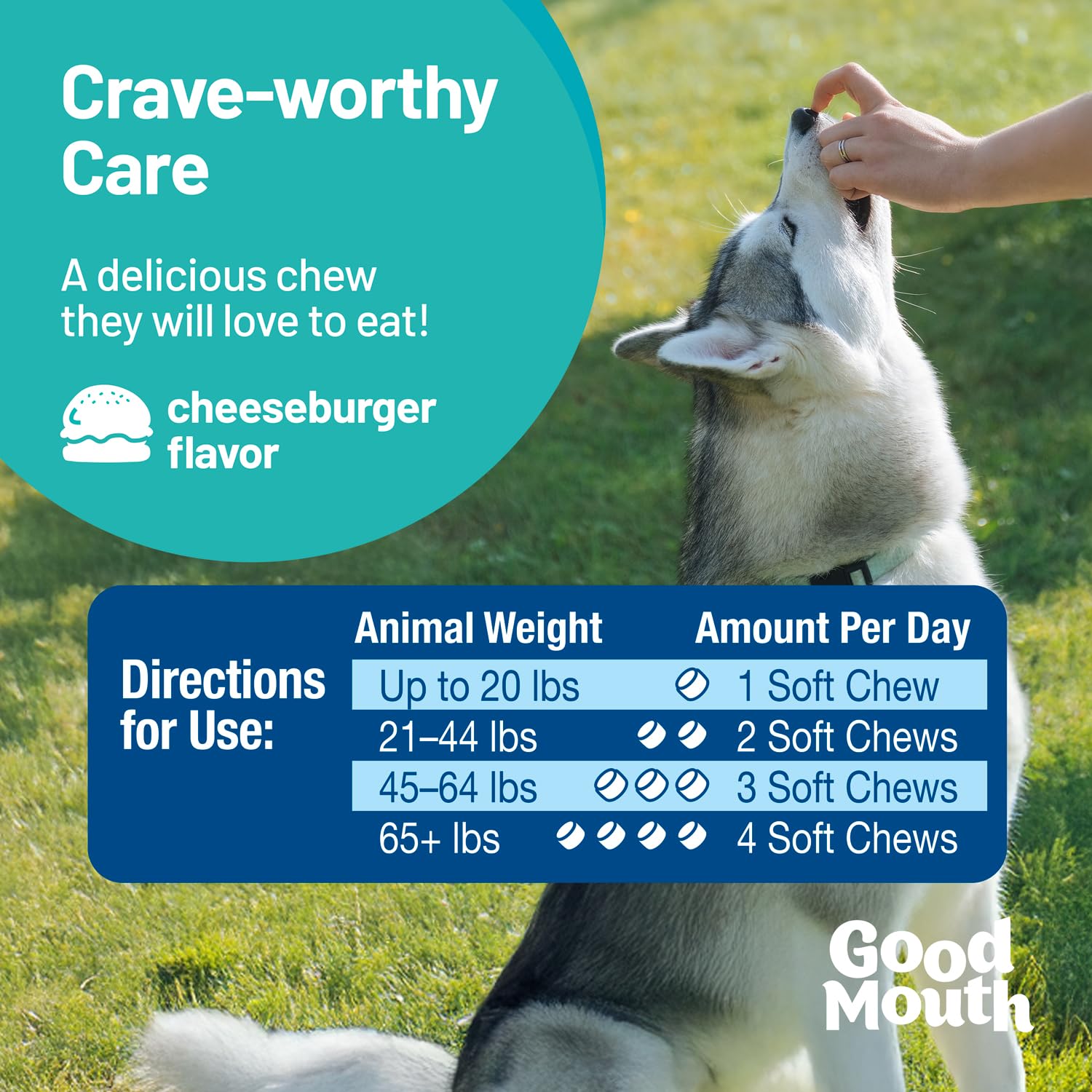 Good Mouth Chews packaging shown with no mess promise for easy routine care.