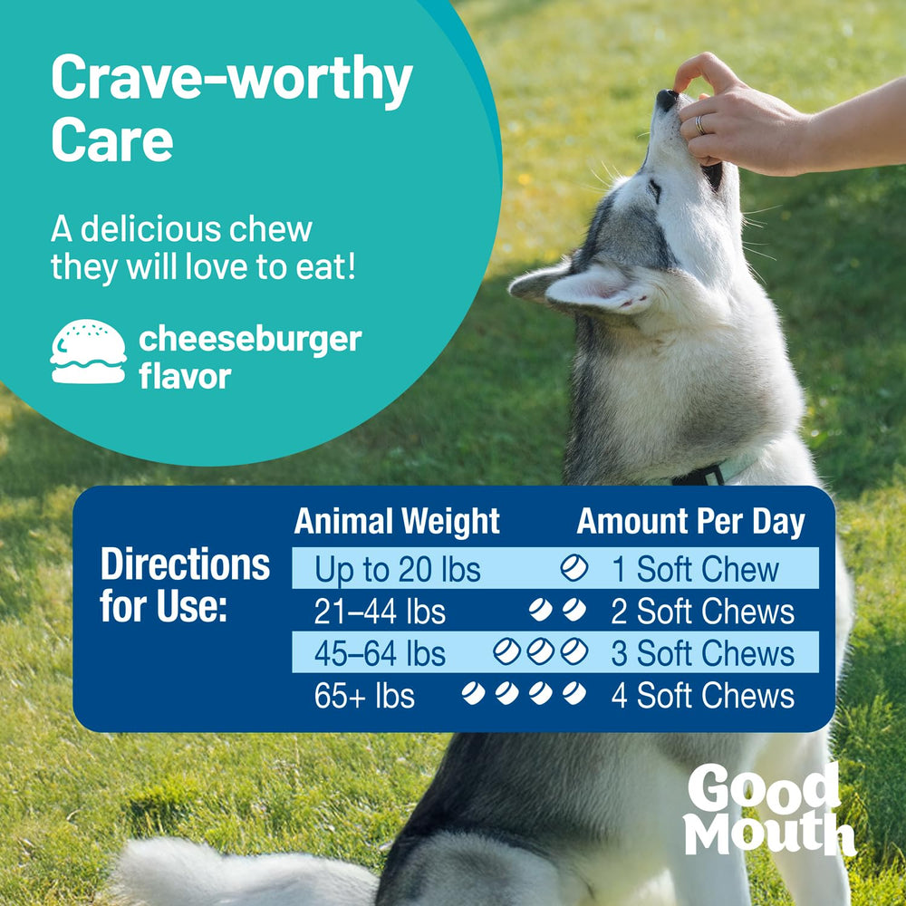 Good Mouth Chews packaging shown with no mess promise for easy routine care.
