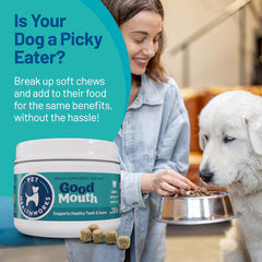 Good Mouth Chews dental scene emphasizes fresher breath and cleaner teeth after use.