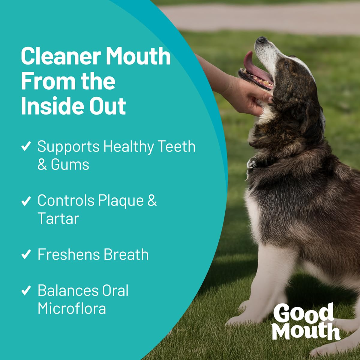 Good Mouth Chews cheeseburger flavor dog chew engages taste while supporting oral care.